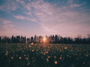 見た目も中身も優れた先生は、女性というだけで夢を掴めなかった