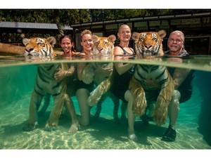 絶滅危惧種のはずが…トラが娯楽の対象として扱われるアメリカの実態