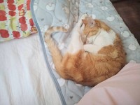 お迎え後、初めて一緒に眠って朝を迎えた時