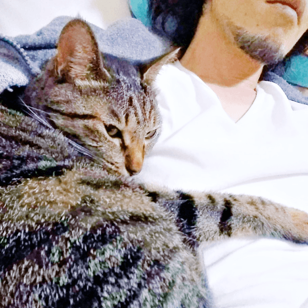 ぴったりくっ付いて甘える茶さん（画像提供：MERRY and BRIGHTさん）