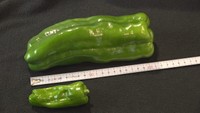 大きいものは20センチ、150グラムほどになるという「ジャンボピーマン」