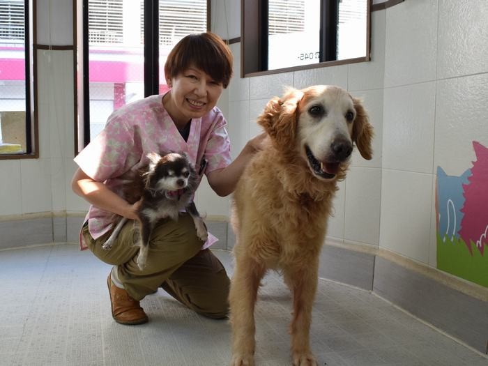 代表の山本りつこさん＝アニマルハートレスキューで