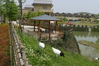 きびじつるの里／提供：総社市