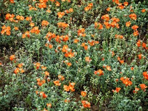 モテればいいってもんじゃない　あんたバカじゃないの？