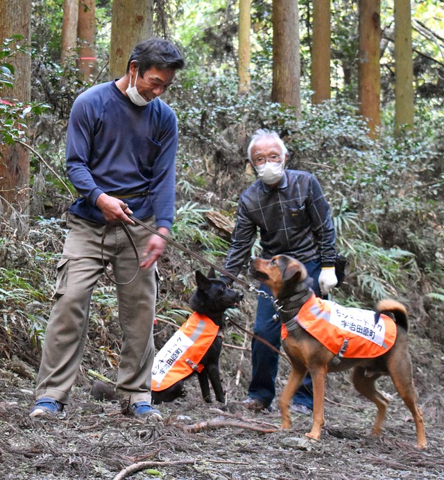 モンキードッグとして活躍しているコタロー（右）とタケル＝京都府宇治田原町禅定寺
