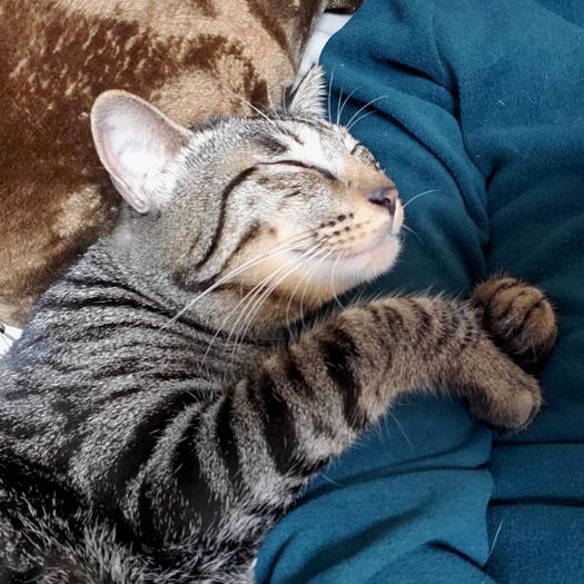 「はっぴーに会えてしあわせだよ」「僕も、すやすや～」