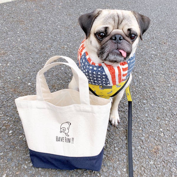 「Pug＆Peace」の「HaveFunお散歩バッグ」と。デイリーユースに便利そう