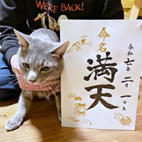 満天くんと命名（画像提供：*ig*さん）