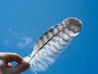 近くなり過ぎていた家族と距離をとるという経験が、私を成長させてくれた