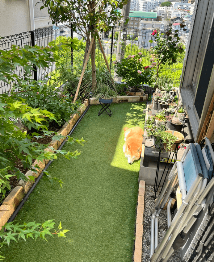気持ちよさそうだ