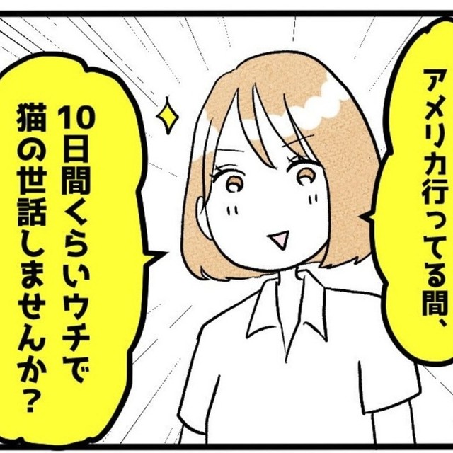 猫と生活するチャンス到来！（イゴカオリさん提供）