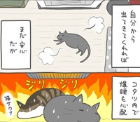 なかにはこたつで眠ってしまう猫も…（まーこさん提供）