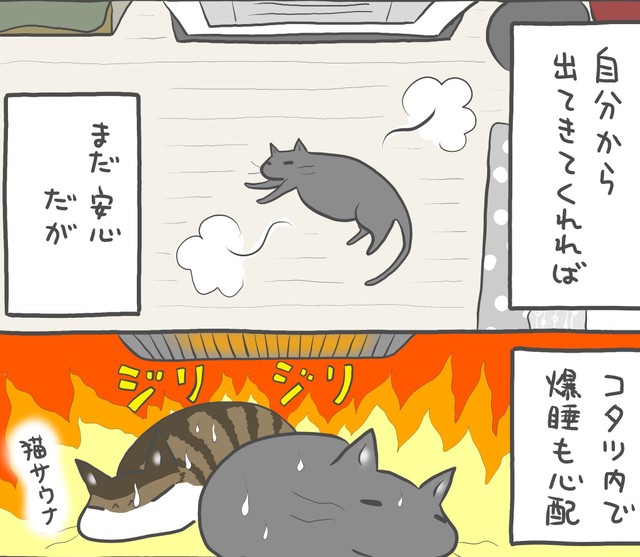 なかにはこたつで眠ってしまう猫も…（まーこさん提供）