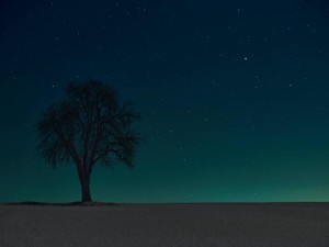 夫が義父と話している姿を見ると羨ましい。私は、父が恋しかったんだ