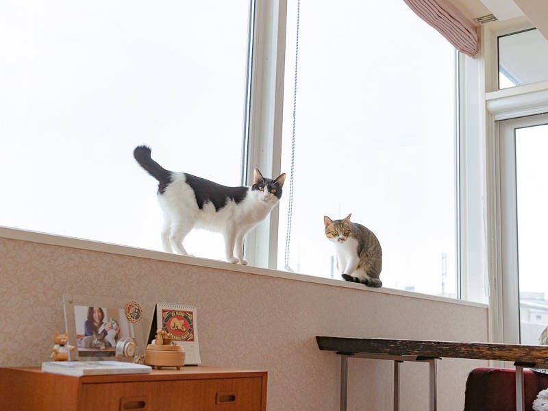 とても気の合うヤングな2匹