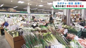 高温が野菜の生育に影響　暑さに強い品種に変更も