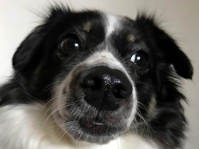 牛さん色だから「もーちゃん」なんだって