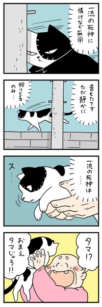 老人に「タマ」と間違えられてしまう　©しろやぎ秋吾