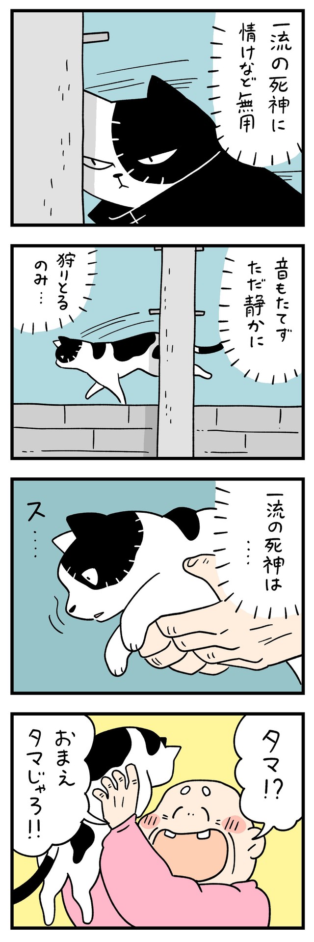 老人に「タマ」と間違えられてしまう　©しろやぎ秋吾
