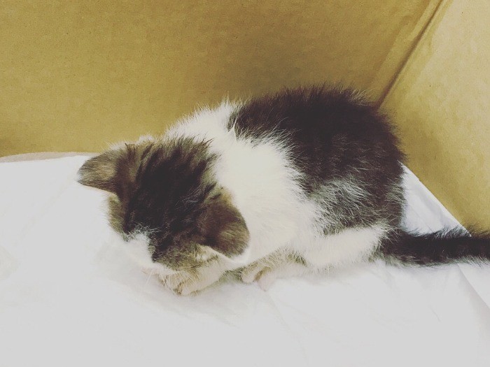 後ろ姿がたまりません