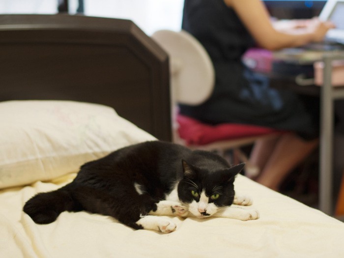 「おかげでぼくは遊んでもらえず退屈だ」（小林写函撮影）