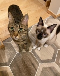 後から迎えた福ちゃん（右）と