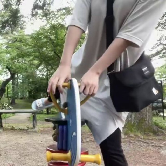 童心にかえって遊具で遊びはじめます――。 ※人生いちかパチかさんのX動画より抜粋