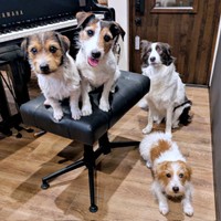 仲良しきょうだい（左から）エリちゃん、シャーロットちゃん、ペネロペちゃん、リサちゃん（画像提供：複雑奇怪な浪速っ子さん）