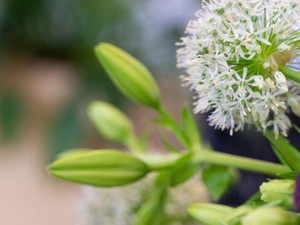 多夫多妻制が導入されたら、きっと結婚する。1人に絞れない