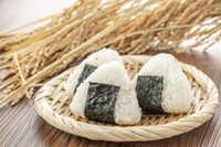 SNSで話題の「おにぎりのプラモデル」とは？（むりかもめさん提供）