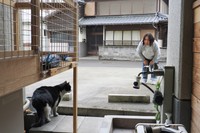猫たちの様子を見て回る大野さん
