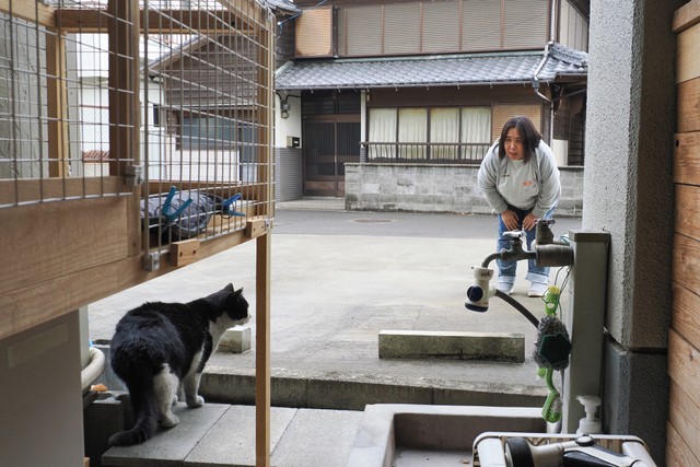 猫たちの様子を見て回る大野さん