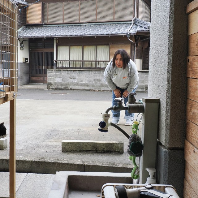 猫たちの様子を見て回る大野さん