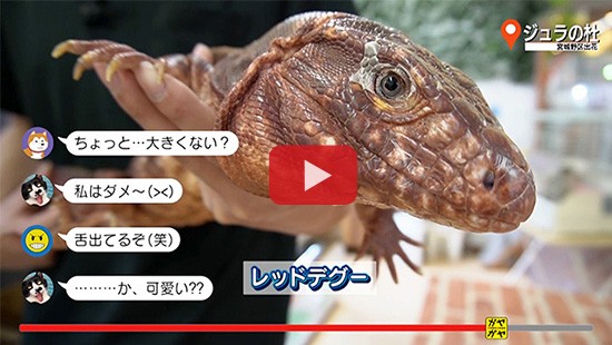 #513ジュラの杜②