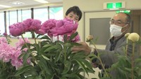 高梁市で行われた共進会