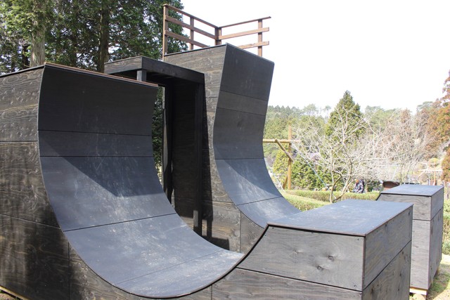 助走をつけて上を頂上を目指せ！＝2021年3月29日撮影