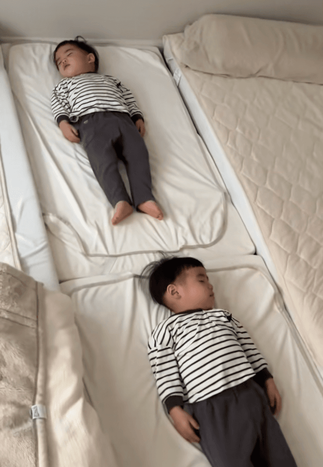 縦に並んで姿勢よく眠るふくちゃんととくちゃん（提供：@fukutoku_channelさん）
