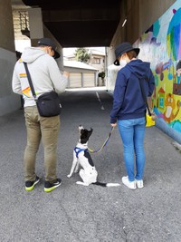 ２人に元気をくれるサニー君、仲良し家族
