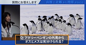 環境報道やイベント、企画を通じた発信