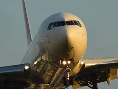 「初めての犬」ピンとの出会い　犬は苦手だった私がなぜ？