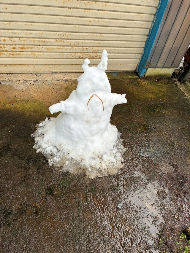 こちらがゆきだるまさん