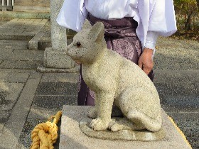 お参りすると、行方不明の愛猫が戻る？！「猫返し神社」
