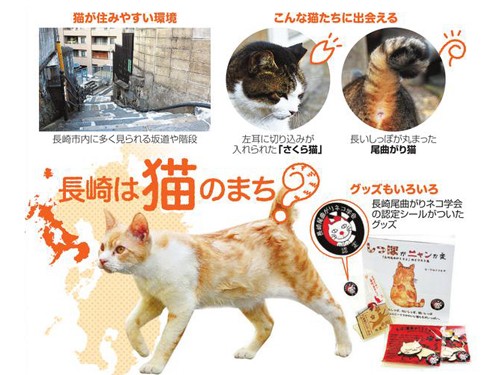 長崎名物「ねこさるく」？ 地形が独特で猫に快適だニャ