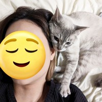 飼い主さんの枕元でぴったりとくっ付くうるりちゃん（画像提供：うるりちゃん）