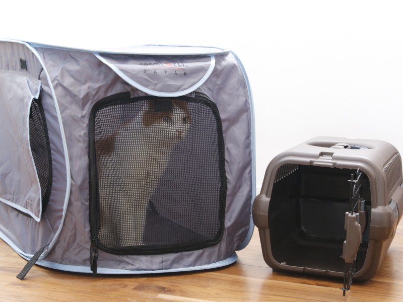 防災用に用意してあるクレート（ハードタイプのキャリー）や簡易型のケージで食事を与える習慣にしています。これで、年齢の違う子が同居していても、療法食を誰かが横取りすることはありません