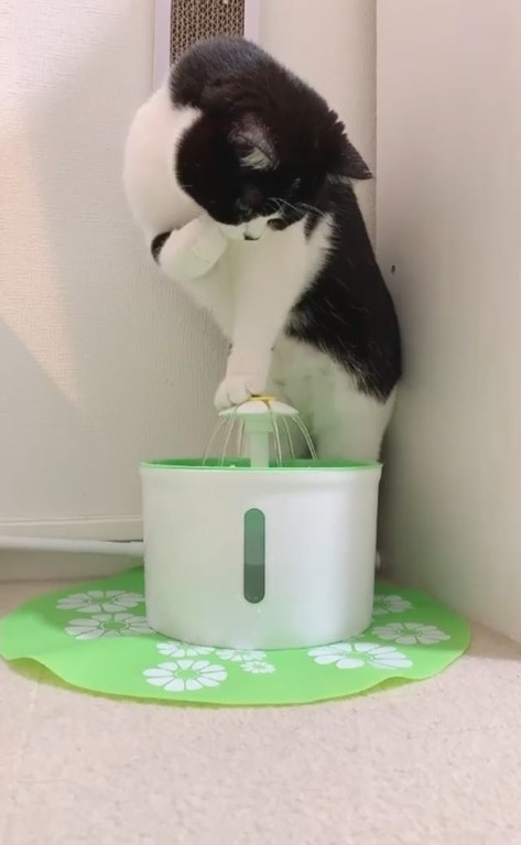 うん…その使い方も多分違う…（提供動画よりスクショ）