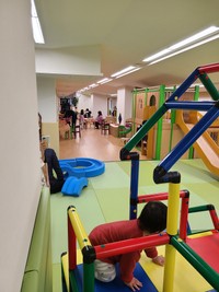 のびのびと遊ぶこども