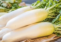 「白だし：ごま油：砂糖：酢＝5：1：1：1」と大根を揉み込んで！※画像はイメージです（shirohige/stock.adobe.com）.jpeg