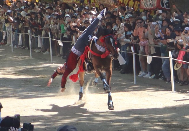 神社の参道を疾走する馬の上で曲技を披露する駈馬神事（５月、京都市伏見区深草・藤森神社）