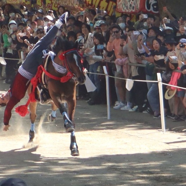 神社の参道を疾走する馬の上で曲技を披露する駈馬神事（５月、京都市伏見区深草・藤森神社）